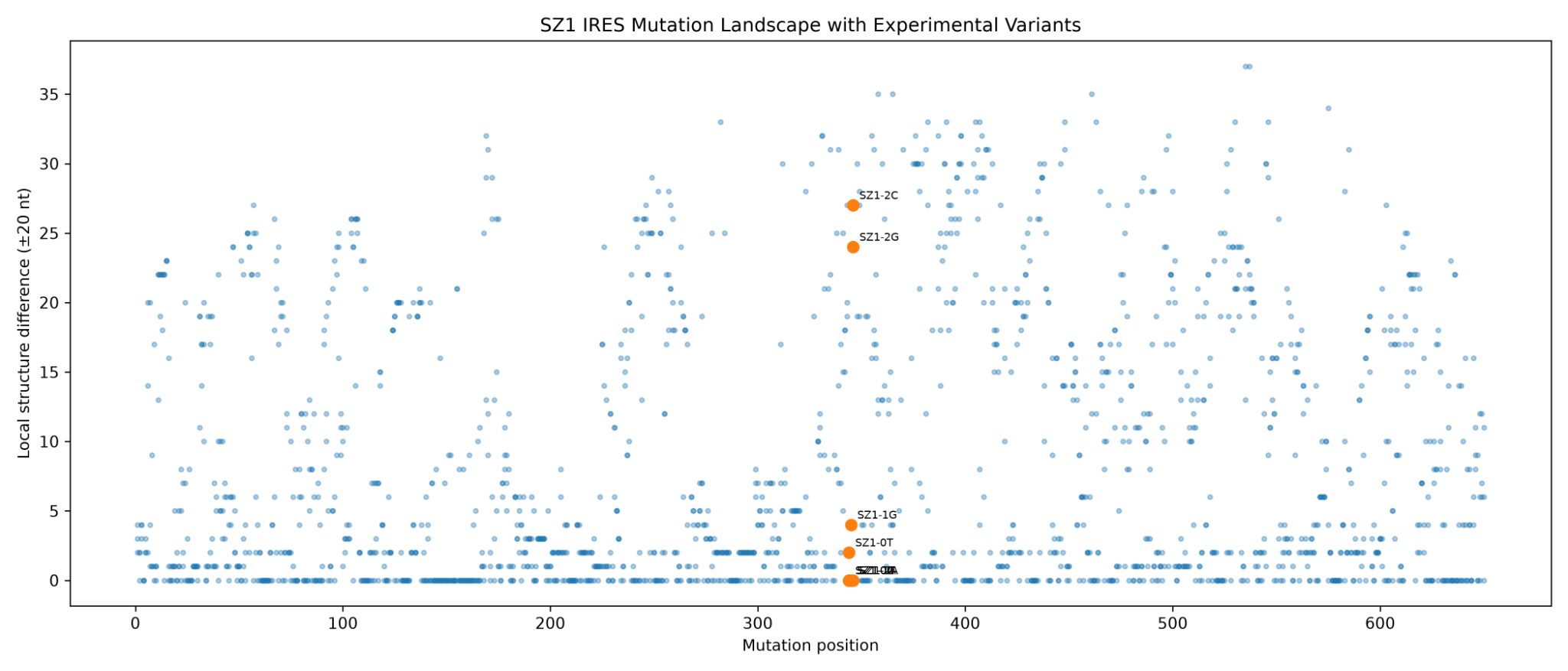 SZ1 IRES mutation and structure landscape